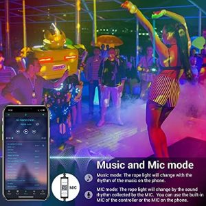 Novostella Smart Outdoor Rope Light, 105ft (52.5×2) Music Sync RGB LED Strip Lights, App Control and RF Remote Color Changing Dimmable Tape Exterior Lighting Kit, for Garden Decorative Party, 24V IP65